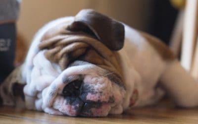 Sleep deprivation