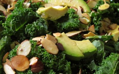 Prebiotics & Probiotics …. what are they and how do you get yours & what are they?